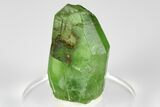 Olivine Peridot Crystal with Ludwigite Inclusions - Pakistan #183966-2